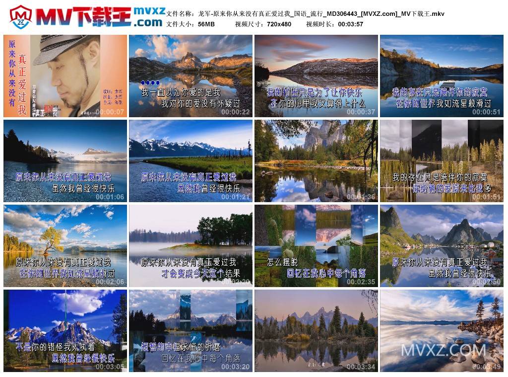 龙军-原来你从来没有真正爱过我_国语_流行_MD306443